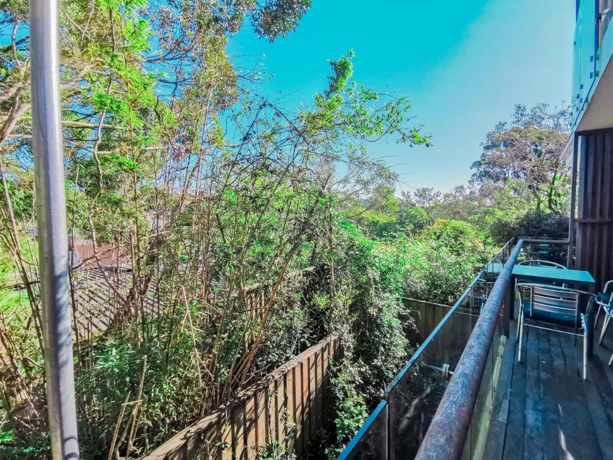 Glebe House Homestay シドニー エクステリア 写真